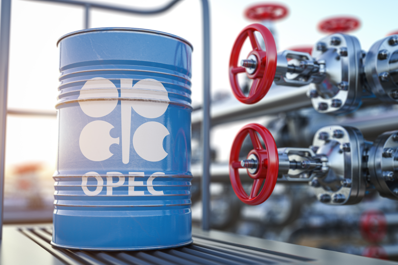 Инвесторы выводят деньги из нефти, несмотря на сокращения OPEC+