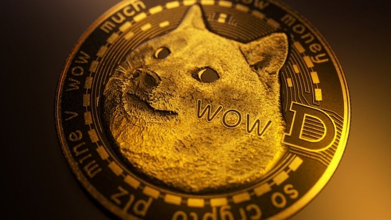 Более половины владельцев Dogecoin столкнулись с потерями