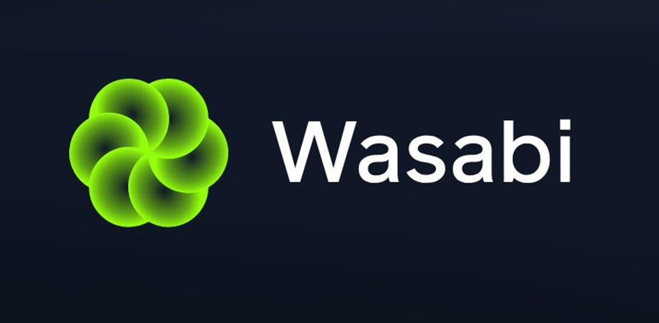 Протокол Memecoin Wasabi: как развивается система?